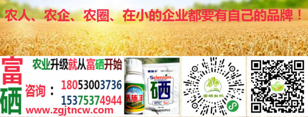 農業農村部實施新規，全國食用農產品全面推行合格證制度