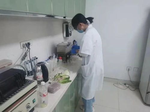 四大農貿市場抽檢結果公布，36批次食用農產品安全有保障